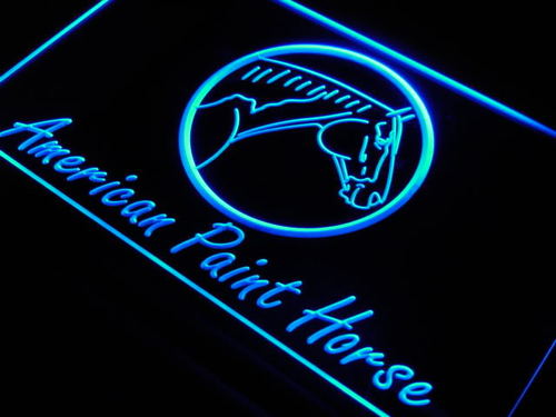 American Paint Horse Model Light Sign